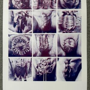 POSIWID 12 Grid Print