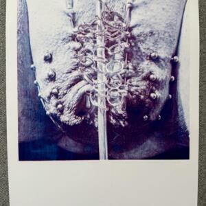 POSIWID Princess Closure