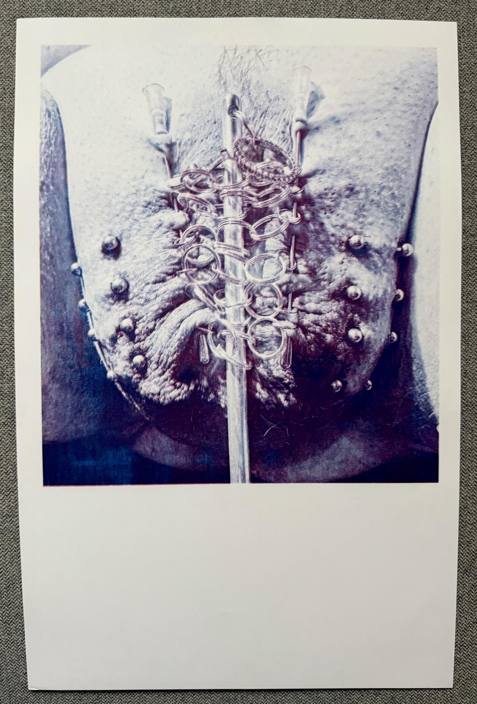 POSIWID Princess Closure