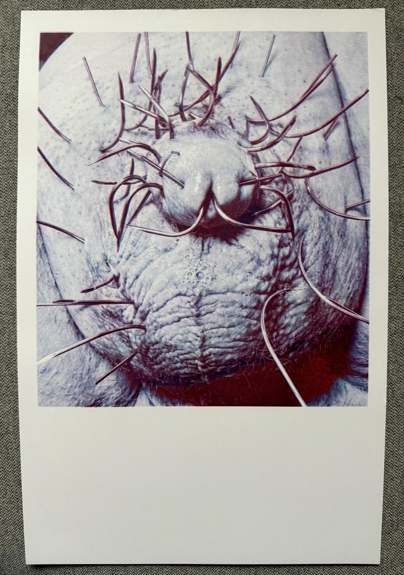 POSIWID Crown of Thorns