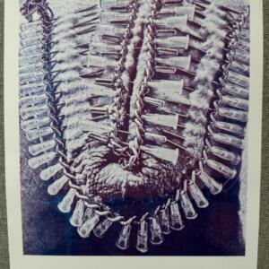 POSIWID Total Closure