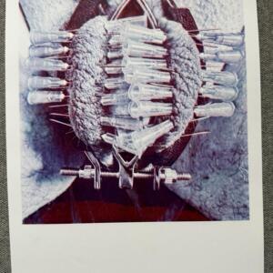 POSIWID Pierced Clamp