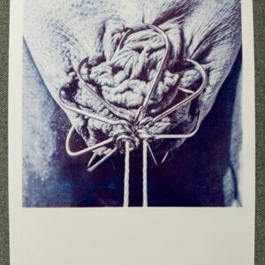 POSIWID Non-Human Biologics