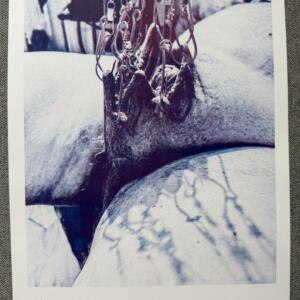 POSIWID Cathedral II