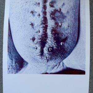 POSIWID Industrial Closure