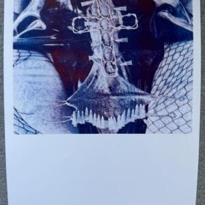 POSIWID La Religieuse