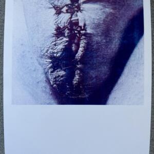 POSIWID Hook and Eye