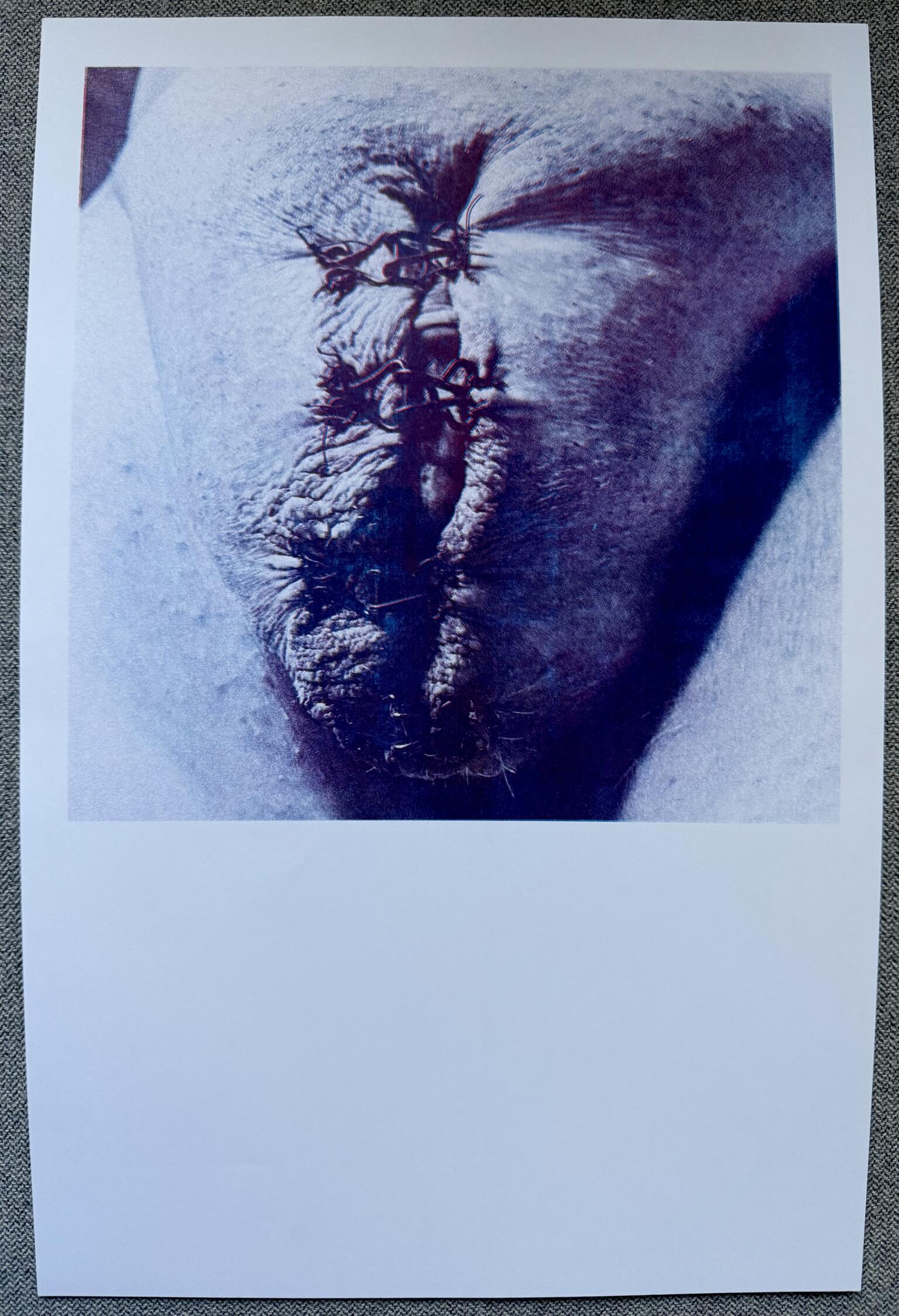 POSIWID Hook and Eye