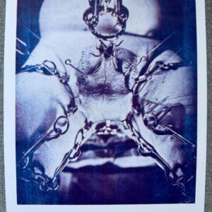 POSIWID Such Sights I