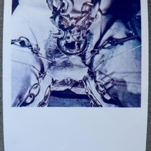 POSIWID Such Sights II