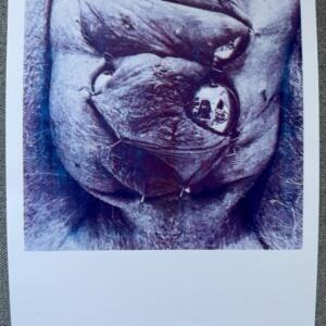 POSIWID Self Portrait I