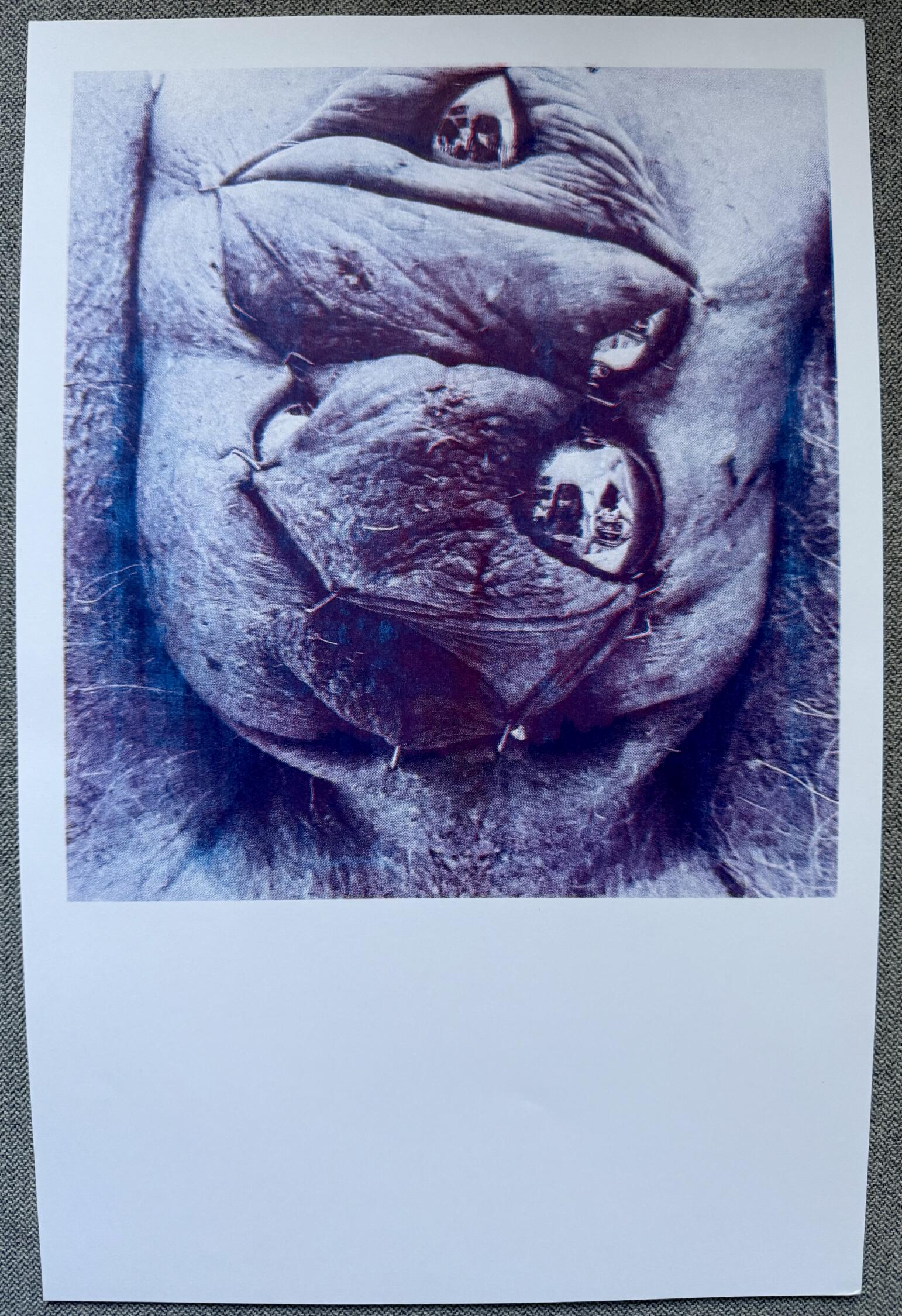 POSIWID Self Portrait I